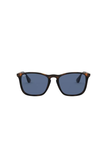 Ray-Ban RB4187 639080 54 Kadın Güneş Gözlüğü